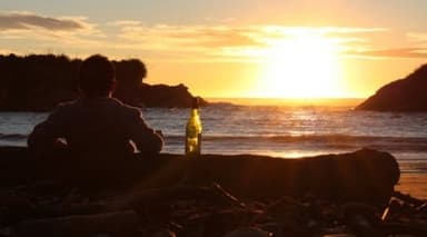 Polit-postkort fra New Zealand